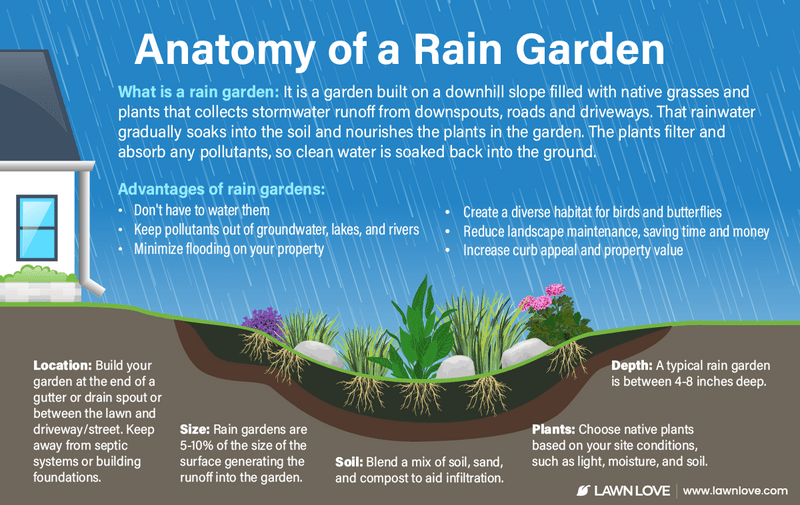 Planning Planting with Sewer Lines Mind